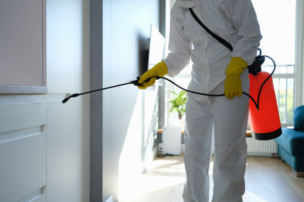 Best HVAC Mold Remediation in Pahokee, FL